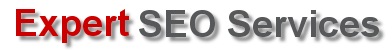 Expert SEO Services
