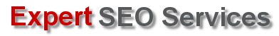 Expert SEO Services